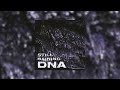 DNA Still Raining