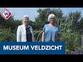 Museum Veldzicht pimpt historische kruidentuin na winnen challenge - OMROEP WEST