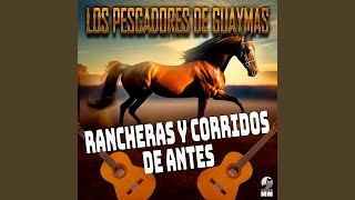 Lamento de un Pescador