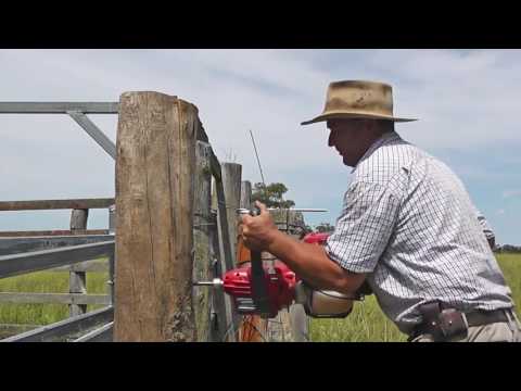 Atom Drillmaster 