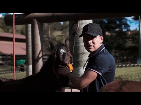 Yeison Jimenez - 02.Vlog - Criadero La Cumbre (Mi Mejor Caballo)