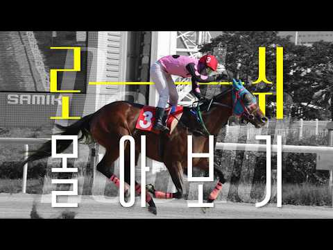 🏆 로쉬 몰아보기 | 연승 행진의 짜릿함을 다시 한번!