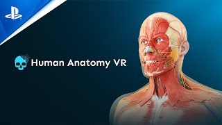 Human Anatomy VR - Launch Trailer Trailer