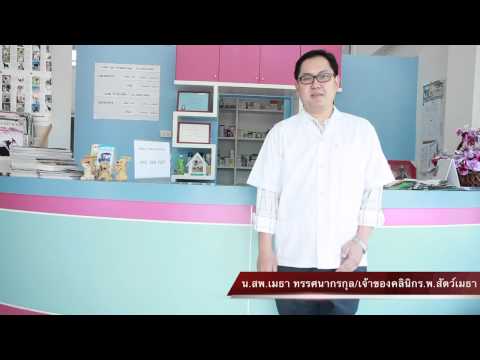 รักษาความอ่อนแอในผู้ชาย ผมยื่นฉันสาวตลก