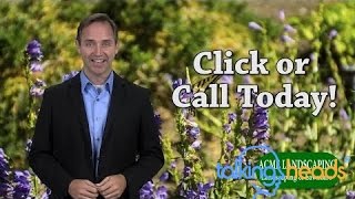 Template Video - Landscaping