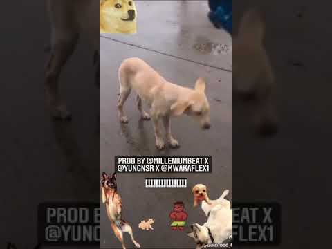 chief keef type beat (snippet)(prod by milleniumbeat x yungnsr x mwaka flex) #trapbeats