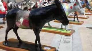 preview picture of video 'Balmaseda burros expokalea 08'