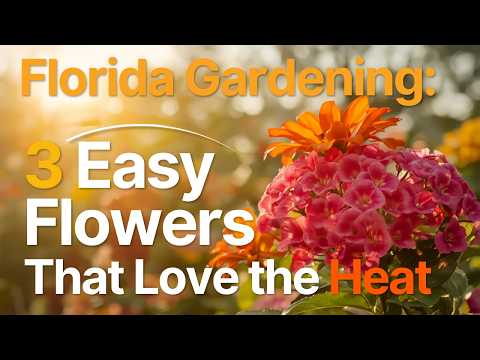 Florida Gardening: 3 Easy Flowers That Love the Heat