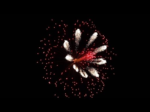 75mm Peony Red + Butterflies | Parente