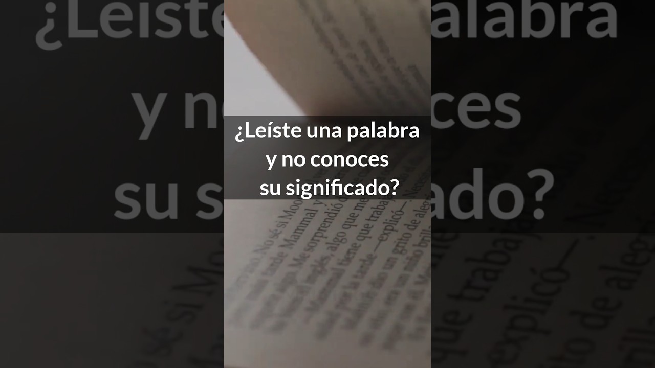 The Best Spanish Dictionary for Android Without Internet 2026