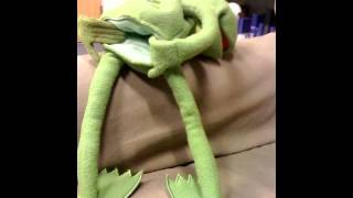kermit the smiths - STOP ME if you think you've heard this one before