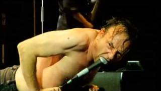 Jesus Lizard - 2009.mp4