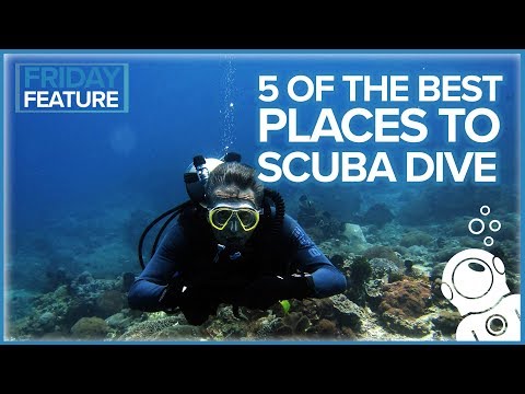 5 Of The Best Places To Scuba Dive