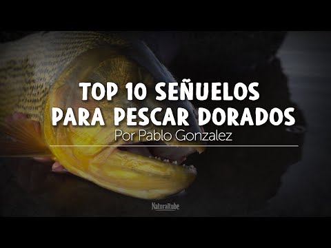 Top 10 lures for dorado fishing by Pablo Gonzalez