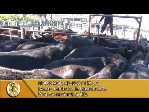 22-05-18 Venta de Hacienda al Kilo - Hourcade, Albelo y Cia S.A. - Rauch.