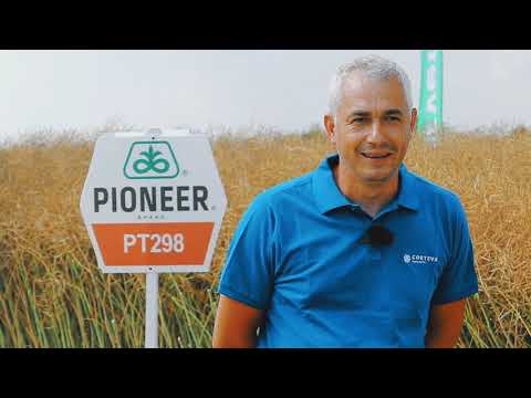 Testimonial rapita Pioneer PT298 - dl. Cristi Bobocea