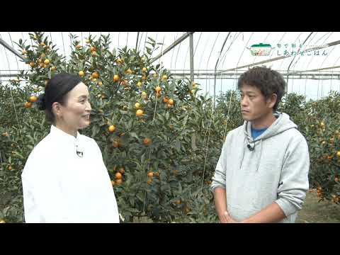 2026年1月2日(金)放送 きんかん生産者の声
