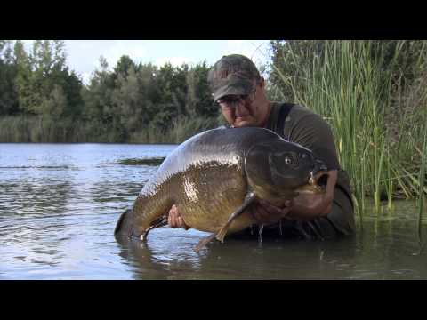 Masterclass 2 Trailer