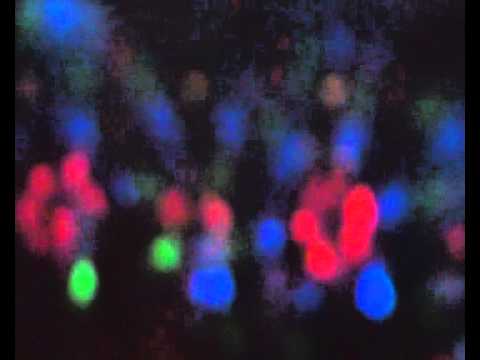 Bryan Kearney Live @ Rectify