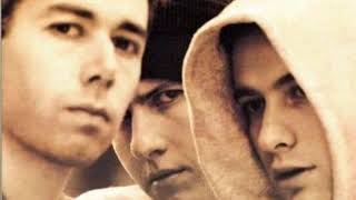 Beastie Boys-The Grasshopper Unit ( Acapella )