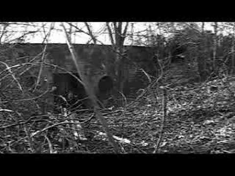 Video thumbnail for Spürst du nicht den Trieb