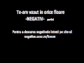 Te-am vazut in orice floare - NEGATIV 