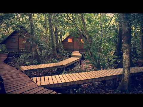 🎵 FloFilz x Philanthrope - Whitecap🎵