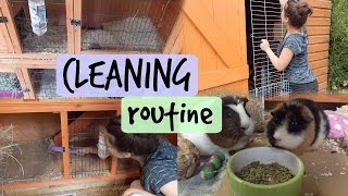 GUINEA PIG CLEANING ROUTINE | Hamster HorsesandCats