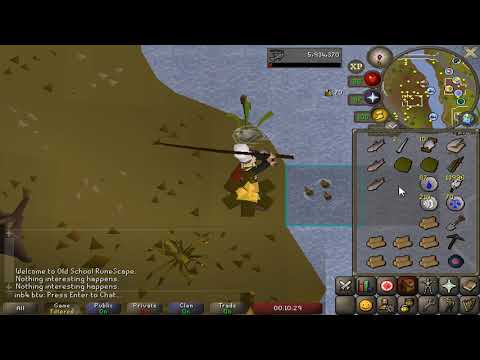 3-tick cook/eat fishing for 1 hour in f2p osrs