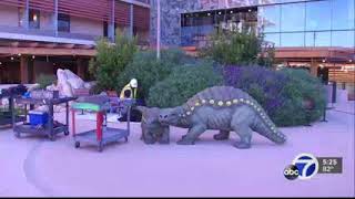Sneak peek: New Lucile Packard Children's Hospital Stanford