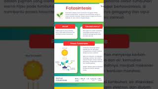 Fotosintesis #biologynnij #shorts