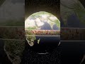what if the earth spins backwards?! 🤯😱  #shorts