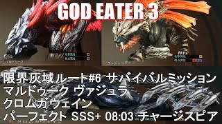 【GE3】限界灰域ルート#6 全フェイズ パーフェクト SSS+ スピア 08:03