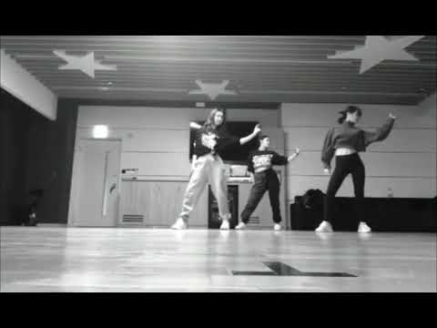 TWICE NAYEON AND MOMO dancing Fever by Beyonce (with Leejung Lee)