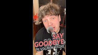 SAY GOODBYE | Day 200 | Green Day