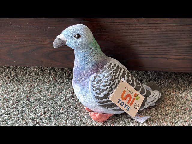 Vídeo relacionado con Uni-Toys - Búho (Gris-Blanco) con Sombrero de Doctor y Gafas - 18 cm (Altura) - pájaro de Peluche - Peluche