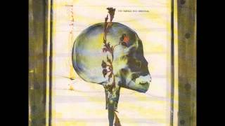 circus devils - may we see the hostage