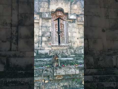 Siamo stati all’Uluwatu Temple! 🏯