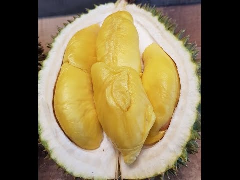 DURIAN  TASTES LIKE HEAVEN BUT SMELLS LIKE HELL