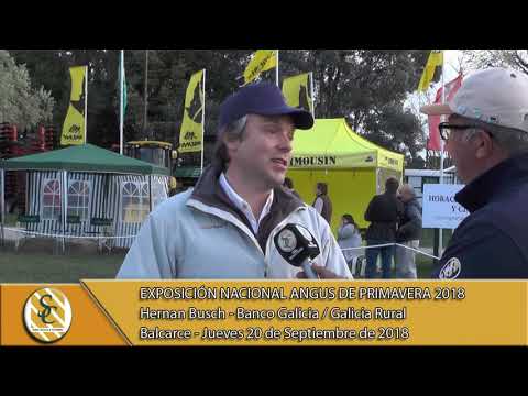 20-08-18 Nota Hernan Busch - Banco Galicia - Exposición Nacional Angus de Primavera - Balcarce