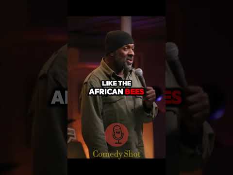 Greer Barnes | European Bees vs African Bees #shorts