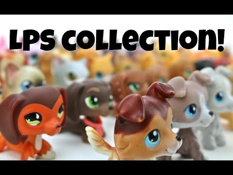 My LPS Collection! (MajesticPetsTV)