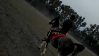 Baaghi Song Mavi singh