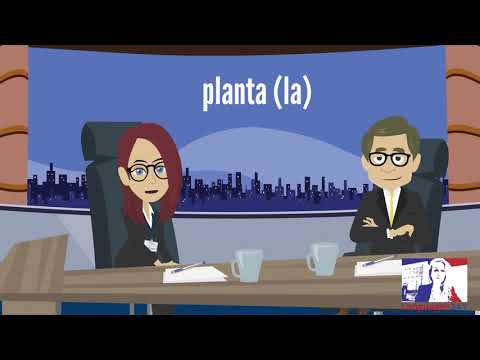 Learn Spanish Free Online Vocabulary of lesson 54 free Spanish lessons.