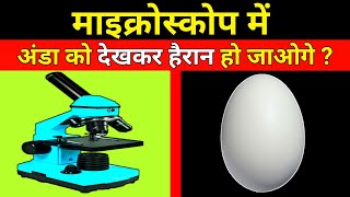 अंडा को Microscope में देखोगे तो यकीन नहीं होगा | Microscope view | The Amazing Microscopic World