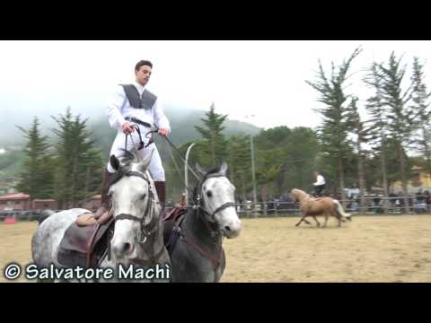 Francesco Di Martino & Ciccio Vintaloro - 2017