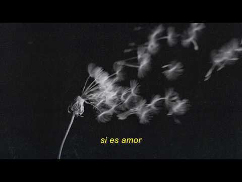 Merma · Flor Lovaglio (VideoLyric)