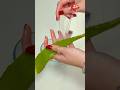 NO GLUE SLIME USING PLANTS How To Make Slime Without Glue Activator