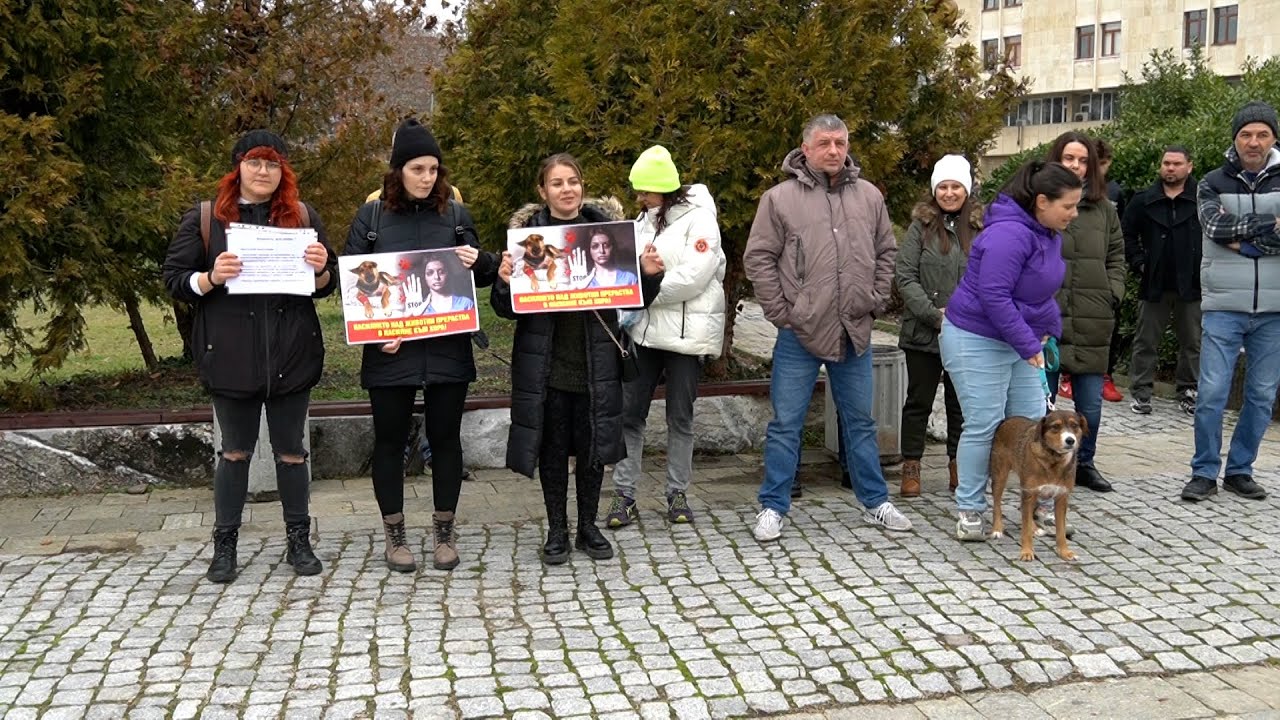 Кърджали подкрепи националния протест срещу насилието над животни