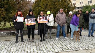 Кърджали подкрепи националния протест срещу насилието над животни